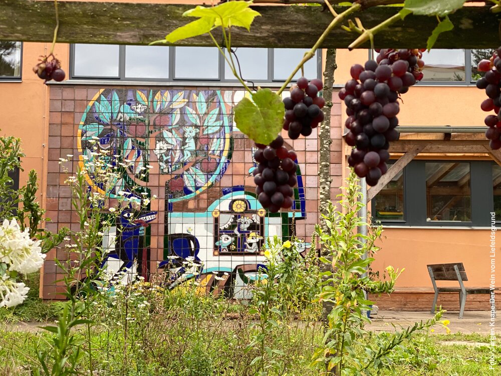 Der Wein vom Liefeldsgrund. Im Hintergrund ist das Keramik-Wandbild "Die sieben Geißlein", von der Potsdamer Künstlerin Dorothea Nerlich, zu erkennen